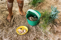 QUUT Wiaderko z sitkiem Bucki Garden Green